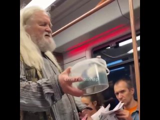 subway passenger sells a kitten